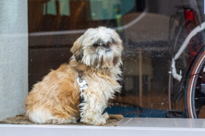 Immer alles im Blick