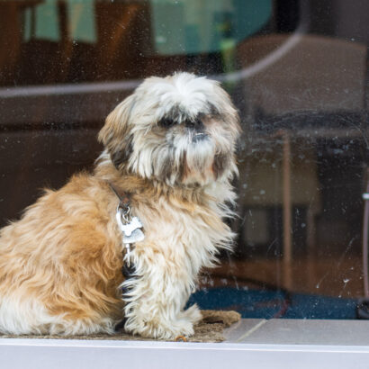 Immer alles im Blick